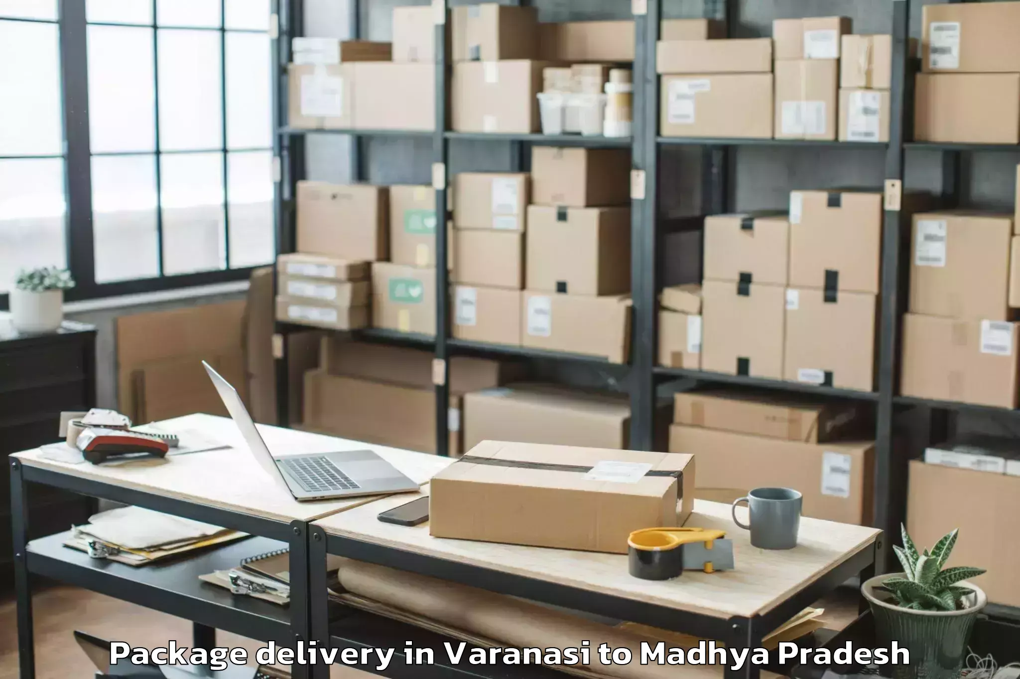 Expert Varanasi to Sage University Indore Package Delivery